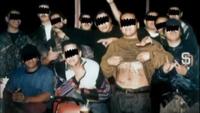 Gangland - The Assassins