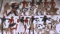 Nubia - Lost Kingdom of Africa