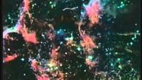 The creation of the universe?