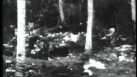 Attack: Battle of New Britain