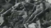 Alfred Hitchcock's Documentary: German Death Camps