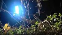The Great Alien Conspiracy - The World's Strangest UFO Stories