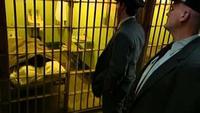 Breakout from Alcatraz