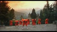 Shaolin Kung Fu Masters
