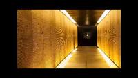 The Secret World of Gold