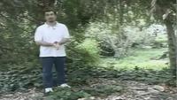 Paranormal America - Unexplained Mysteries