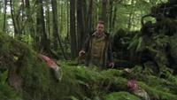 The Magical Forest