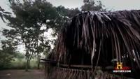 MonsterQuest: Giant Arachnids