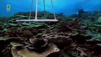 Pacific Ocean Paradise