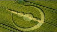Paranatural: Crop Circles