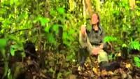 The Monkey Eating Eagle of the Orinoco
