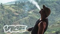 Weediquette: Kings of Cannabis