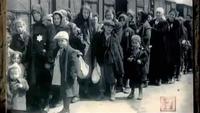 Auschwitz: The Forgotten Evidence