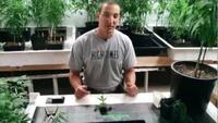 How to Grow Like a Pro (how to)