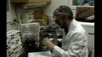 History's Mysteries: Small Pox Deadly Again?