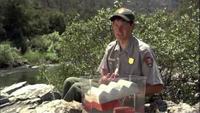 How The Earth Was Made: Yosemite