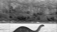 Are Dinosaurs Really Extinct: Mkole Mbembe The Last Living Dinosaur