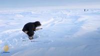 The Battle for the Arctic