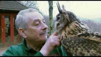 Return of the Eagle Owl