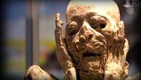 Lost Worlds: The Precursors of the Inca