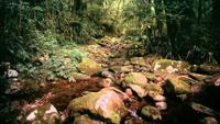 Australia: Land Beyond Time