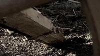 American History in HD: Westward