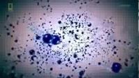 ISON Comet Of The Century