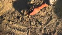 Sea Monsters: A Prehistoric Adventure
