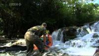 Natural World: The Falls of Iguacu