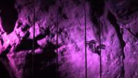 Miracles of Nature by Richard Hammond: Super Senses