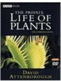 The Private Life of Plants