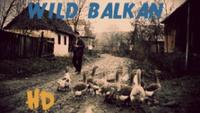 Wild Balkans - Divlji Balkan