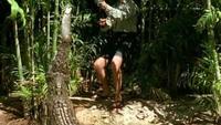 Weird Nature