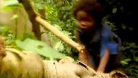 Is it Real - Feral children