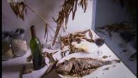 After Life: The Strange Science Of Decay