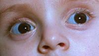 Children Of Glass