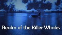 Realm of the Killer Whales