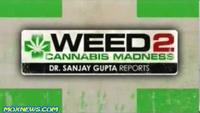 WEED 2 - Cannabis Madness