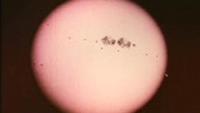 Our Mr Sun
