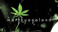 Marihuanaland