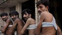 War and Butchery: Organ Trade in Kosovo
