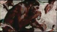 Evolution: The Mind's Big Bang
