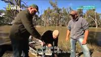 Monster Fish: Danger Down Under