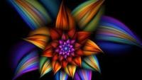 Spirit Science: Sacred Geometry Movie