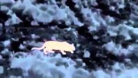 The Dark: Natures Nighttime World: Patagonian Mountains
