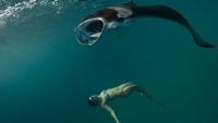 Life of Oceans: Transformations