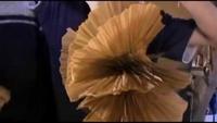 Between the Folds