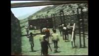 Behind the Crisis: Eritrea's Struggle to Survive