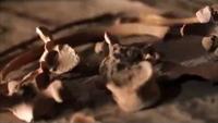 Cave People of the Himalaya