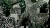 In Search Of: The Castle Of Secrets